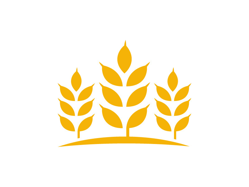 Agriculture wheat rice icon illustration