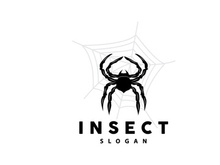 Spider Logo, Insect Animal Vector, Premium Vintage Design