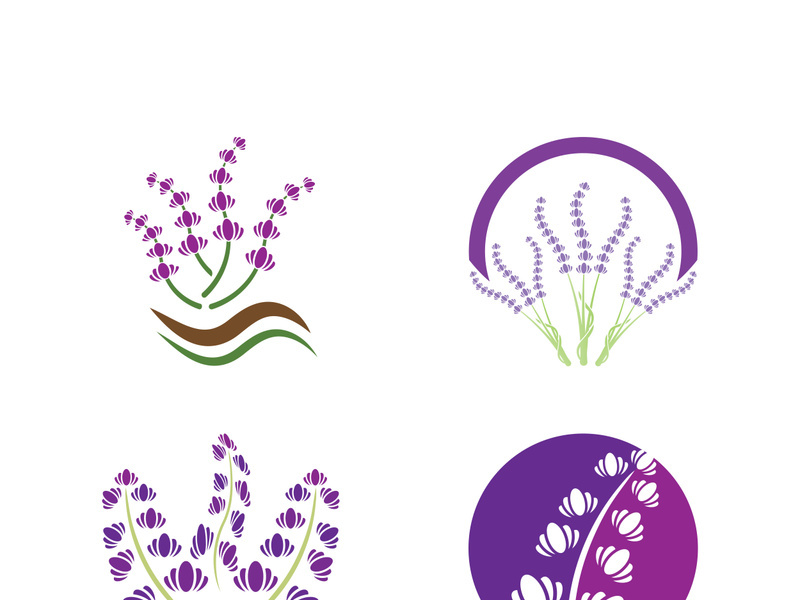 Lavender flower vector icon illustration design template