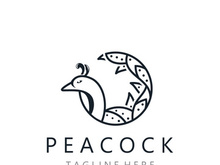 Peacock logo line art elegant concept icon design template flat vector illustration