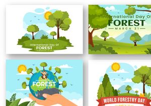 12 International Forest Day Illustration