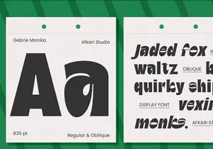 Gebrie Monika - Modern Display Sans Typeface