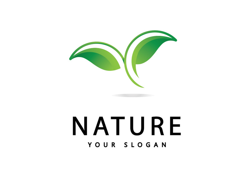 Green leaf logo  Nature icon design