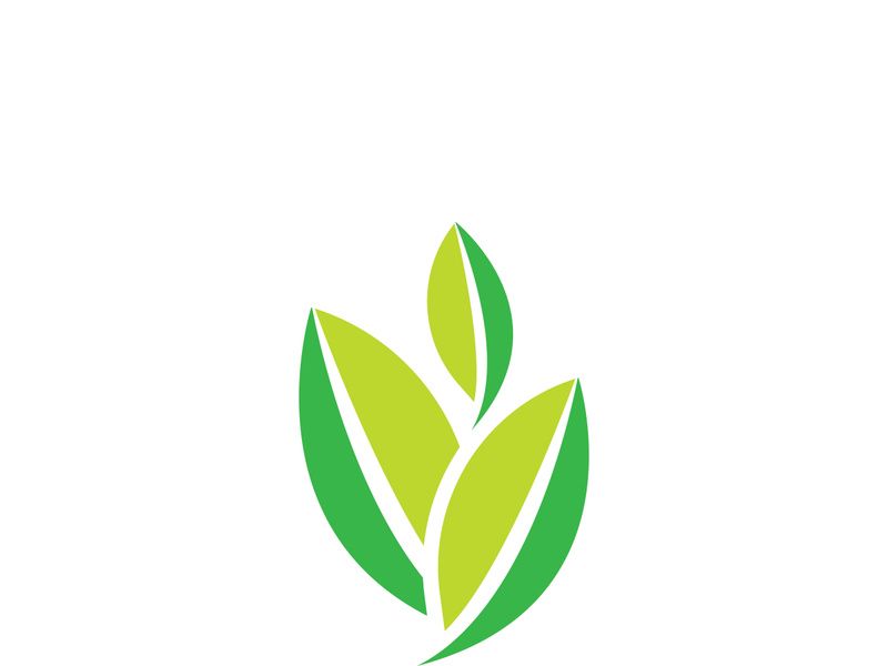 Logos of green tree leaf ecology nature element vector