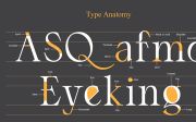 Angelia - Beautiful serif family