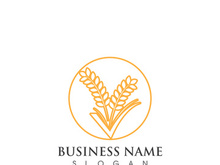 Agriculture wheat logo and symbol vector