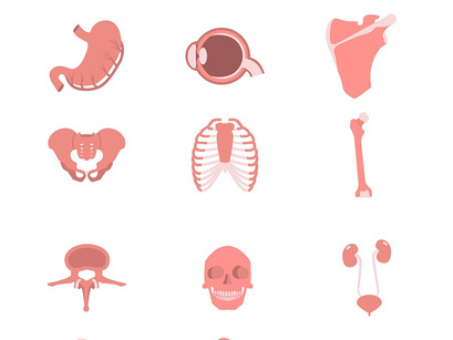 23 Human Anatomy Icons