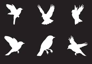 Bird Silhouette Element Design