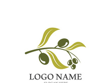 olive icon vector illustration design template