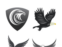 Falcon logo template vector illustration design