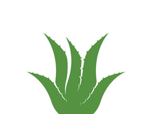 Aloe Vera logo icon design symbol beauty skin care