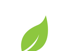 Leaf logo vector icon design template