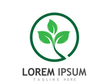 Natural green leaf logo design.