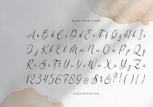 Woncherlly | Elegant Calligraphy Script