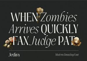Jedira - Modern Branding Logo font