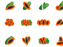 Textured Orange Fruit Design Papaya Logo, Papaya Tree Brand Product Label Vector, Fruit Market