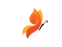 Beauty Butterfly Vector icon design