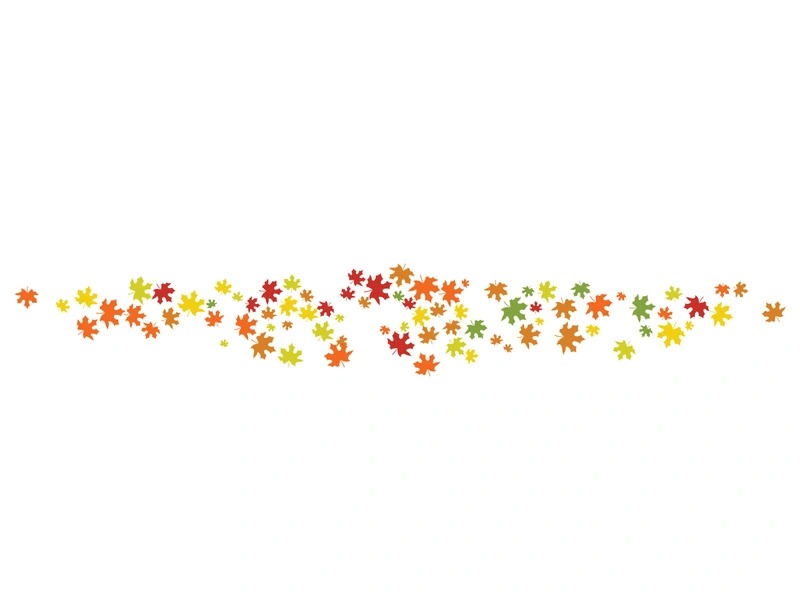 Maple Leaf design illustration