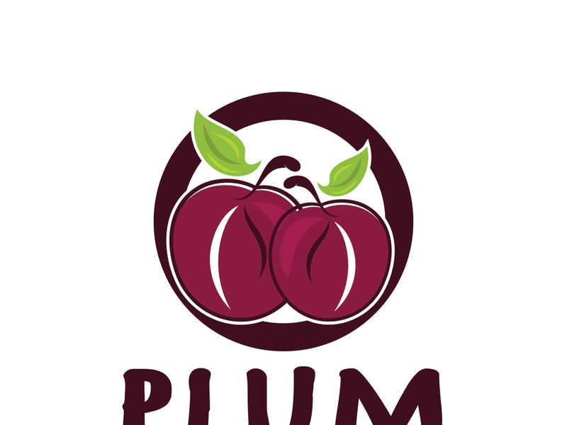 plum fruit logo with leaves, design of plum plantation, fruit shop, plum products, with simple vector editing