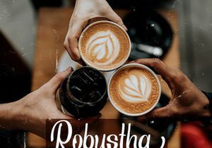Ansagia Metta - Bold Script Font