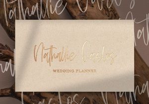 Sellviny Queen - Handwritten Font