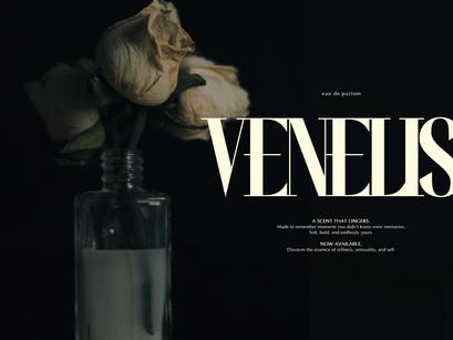 Wonder Astrella | Modern Display Serif