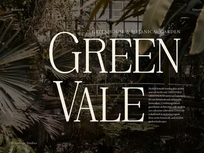 Rinovich | Display Serif Font