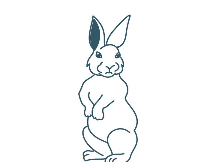 Rabbit logo
