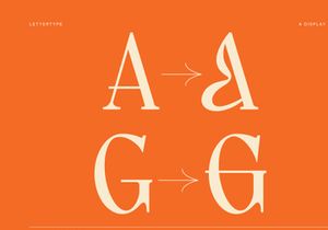 Lettertype – Editorial 90s Serif Font with Alternates