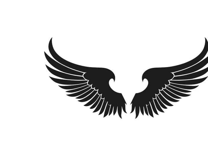 black bird wing logo vector