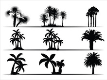 Palm Tree Collection and Silhouettes