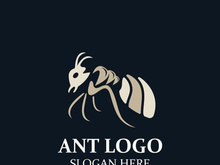 Ant logo design silhouette. Isolated animal ants on background design template vector Ant logo design silhouette. Isolated animal ants on background design template vector