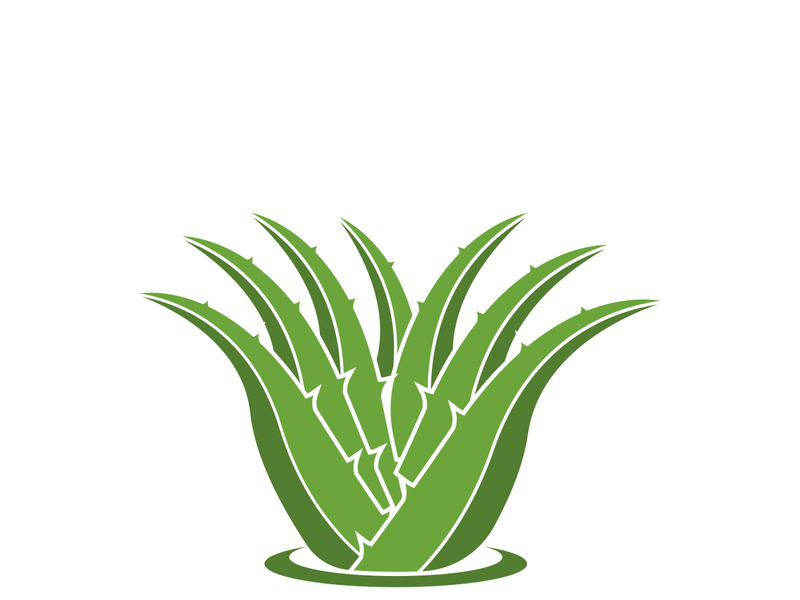 Aloe Vera logo icon design symbol beauty skin care