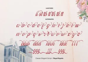 Royal Kaynin | Classic Elegant Script