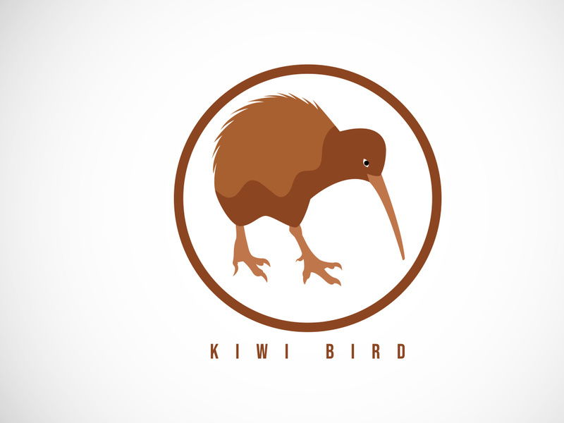 Kiwi bird in a circle. Kiwi bird logo design template vector illustration