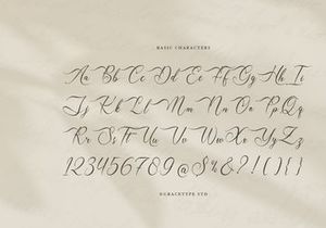 Mallsreya | Beauty Calligraphy Script