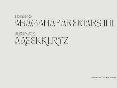 Tarekah | Modern Serif Font