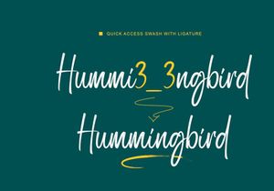 Bostroom - Brush Font