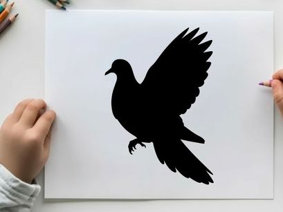 Silhouette of a bird in flight with wings spread wide