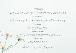 Charlotte - Casual Handwritten Font