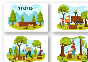 12 Timber Illustration