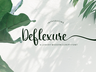 Deflexure - A Luxury Modern Script Font