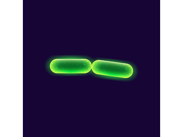 Bacteria cell realistic vector illustration preview picture