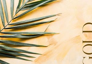 Kindel Serif Typeface
