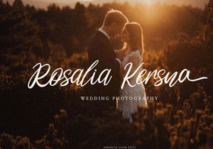 Perfecta Liner - Handwritten Script