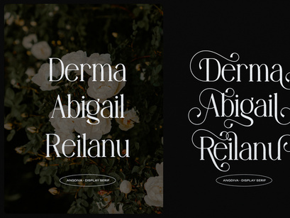 Angdiva | Display Serif Font