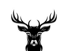 Deer logo template vector icon illustration design