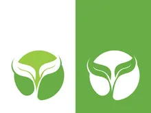 Logos of green tree leaf ecology nature element vector