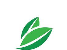 Logos of green tree leaf ecology nature element vector