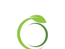 Logos of green Tree leaf ecology